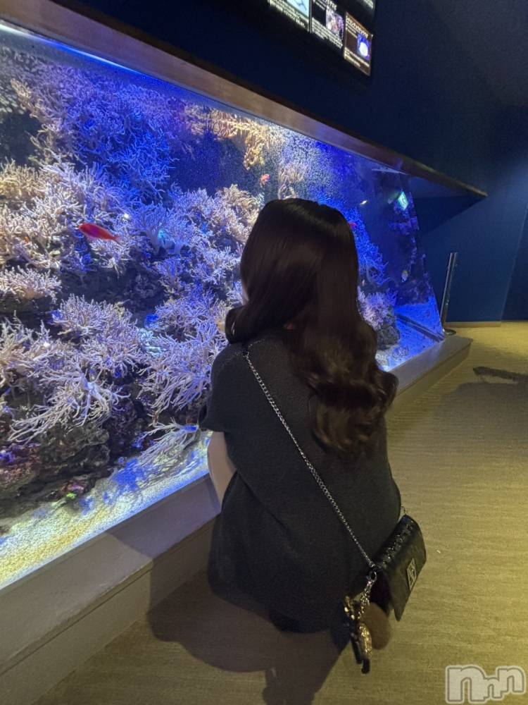 ��Ʋ����Х��顦�����151-A(������������) ���ߤ��1��14���̥�֥�����🪸🐡♡��