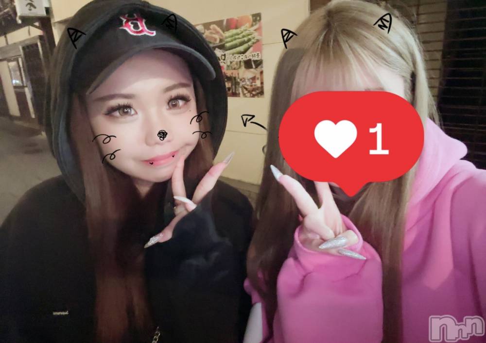 ��Ʋ����Х��顦�����151-A(������������) ���ߤ��3��5���̥�֥����֤��夷���