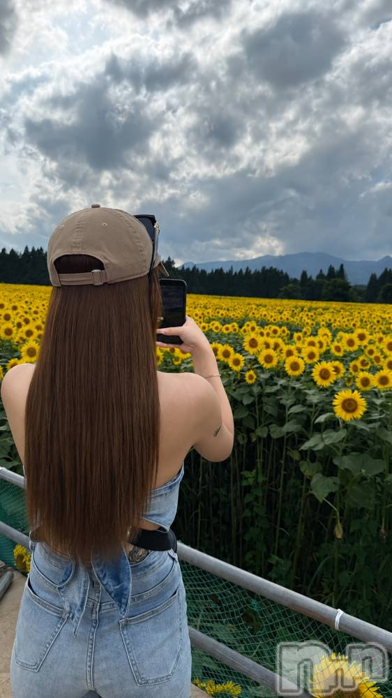 ��Ʋ����Х��顦�����151-A(������������) ���ߤ��7��29���̥�֥�����🌻💛��