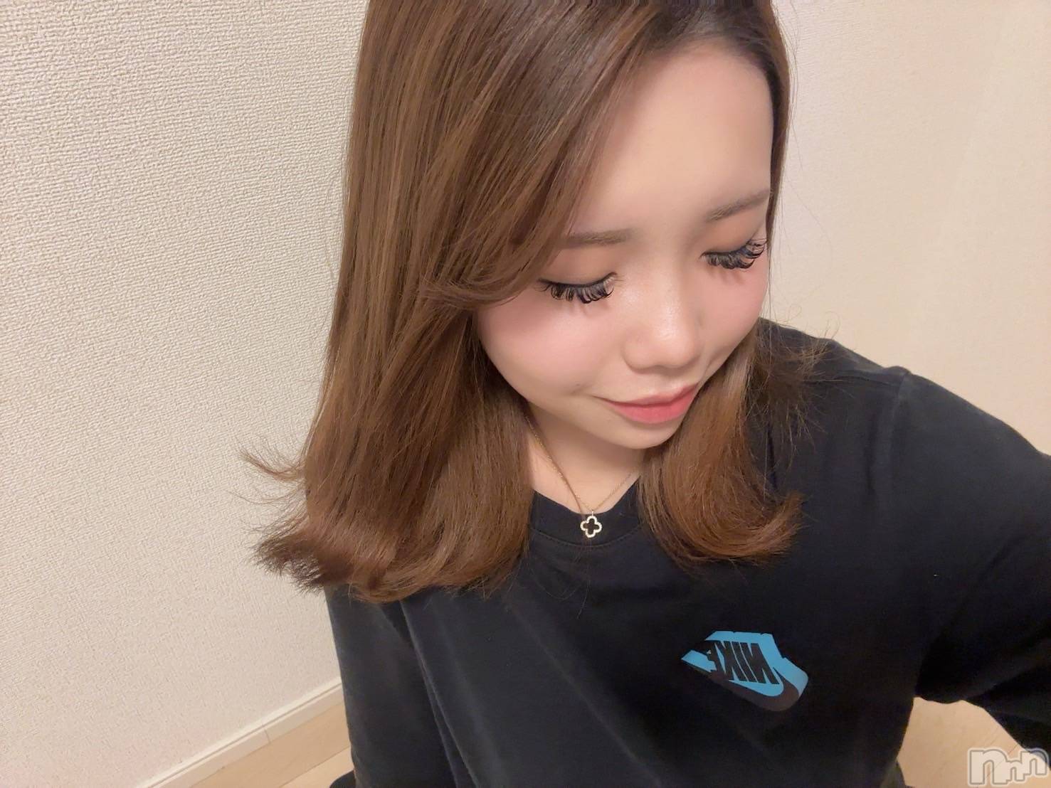 ƲХ顦151-A() 2025ǯ114̥֥֥ޥĥ😝