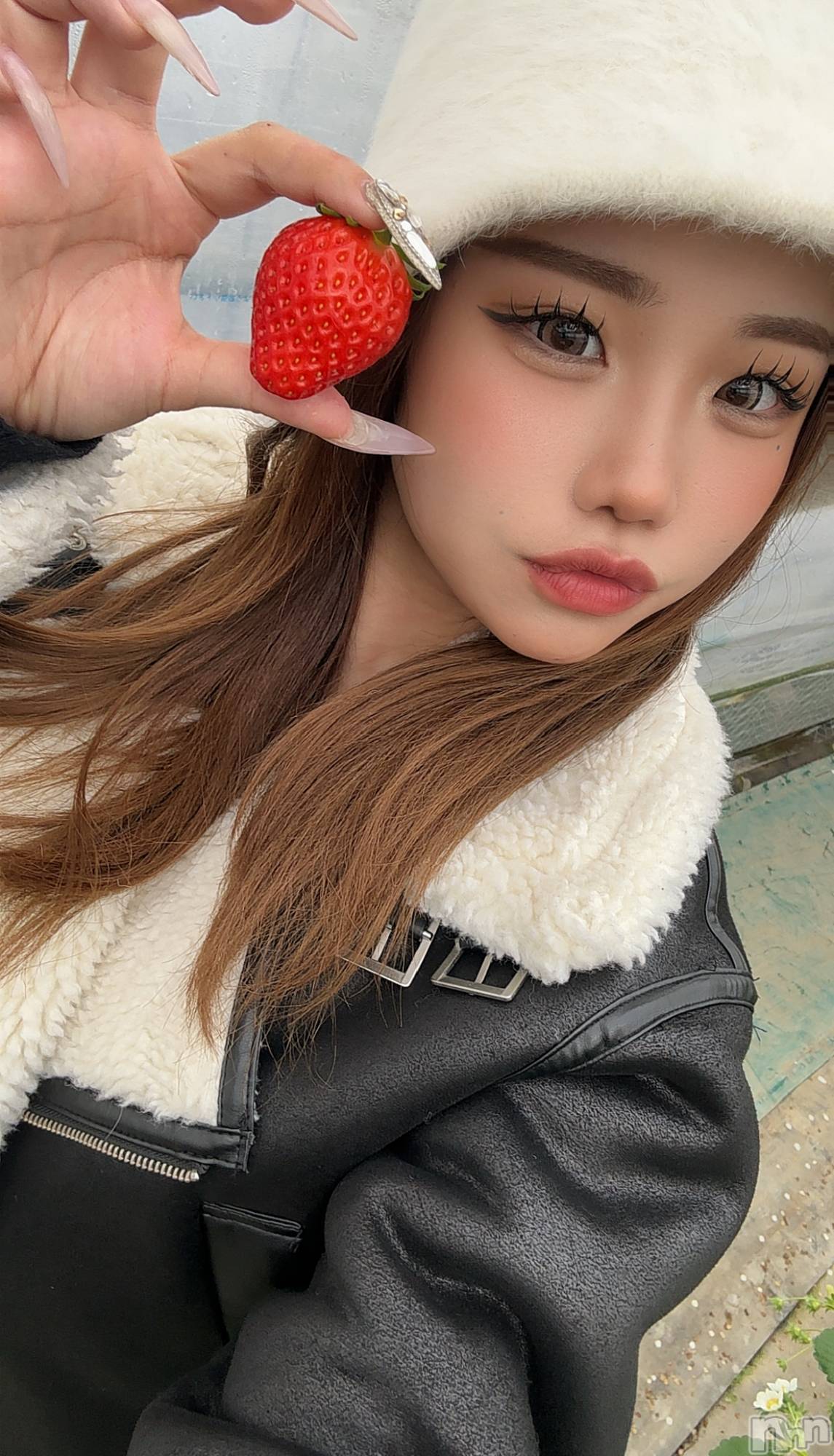 ��Ʋ����Х��顦�����151-A(������������) ��2026ǯ1��8���̥�֥����ֺ�ǯ�����ܤΡ�