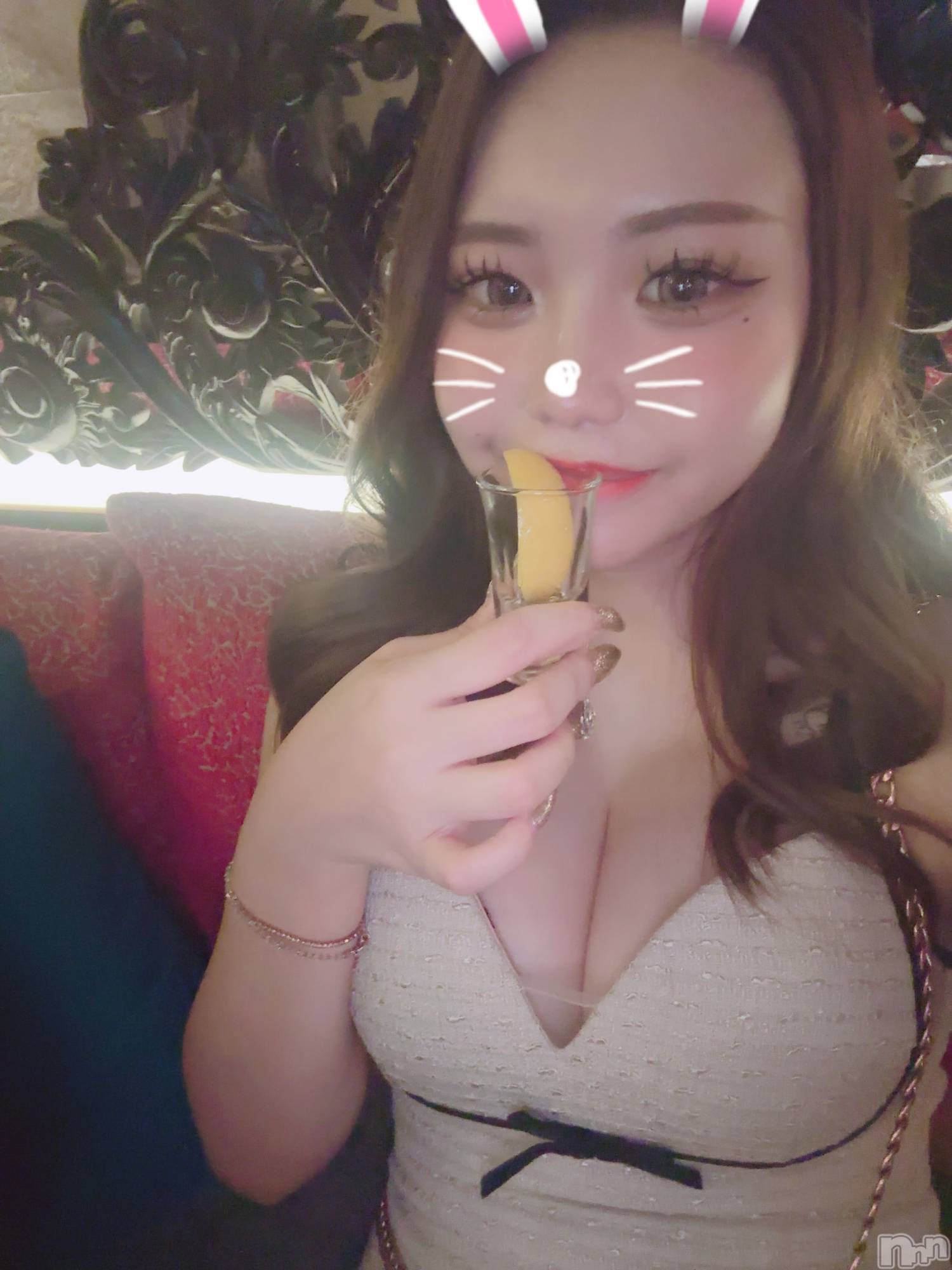 ��Ʋ����Х��顦�����151-A(������������) ��2026ǯ2��28���̥�֥�����������💖��