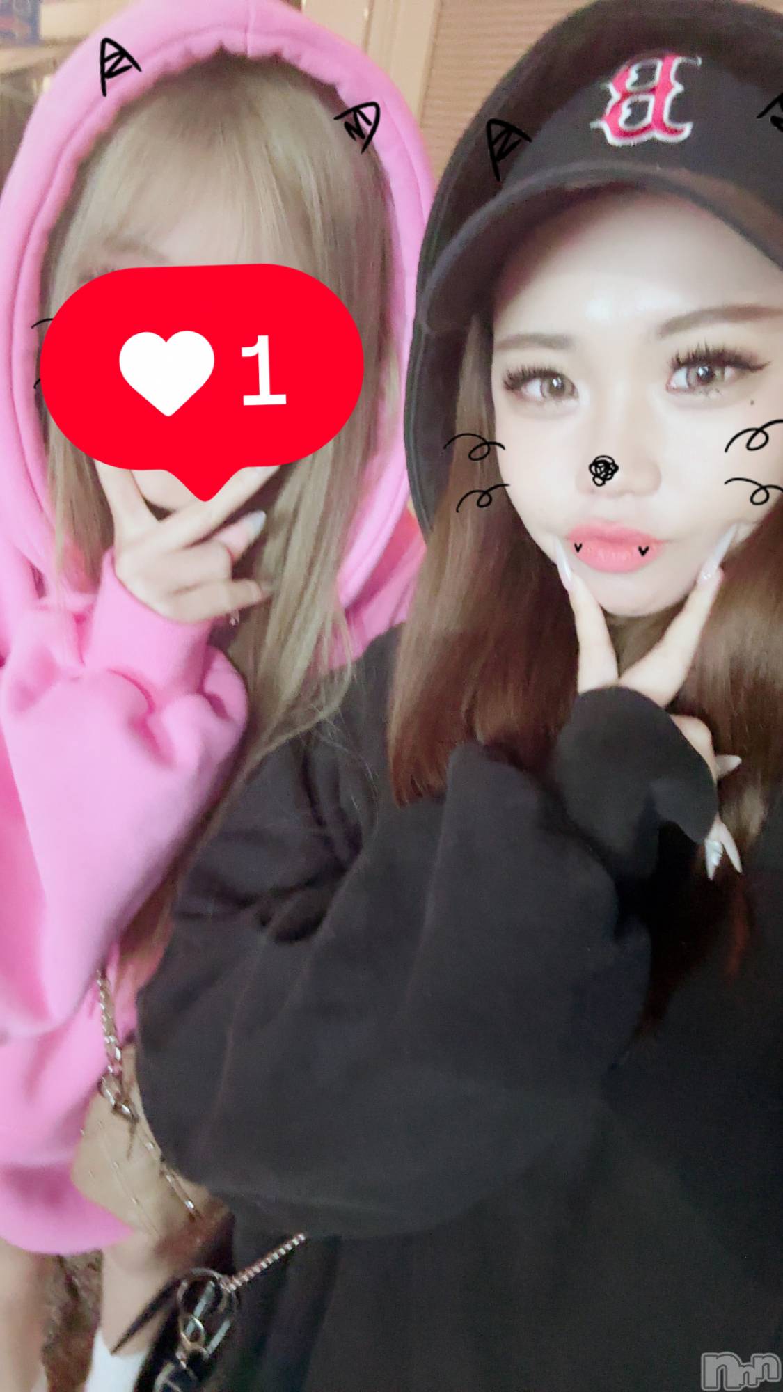 ��Ʋ����Х��顦�����151-A(������������) ��2026ǯ3��6���̥�֥����ֲڶ�🌸��