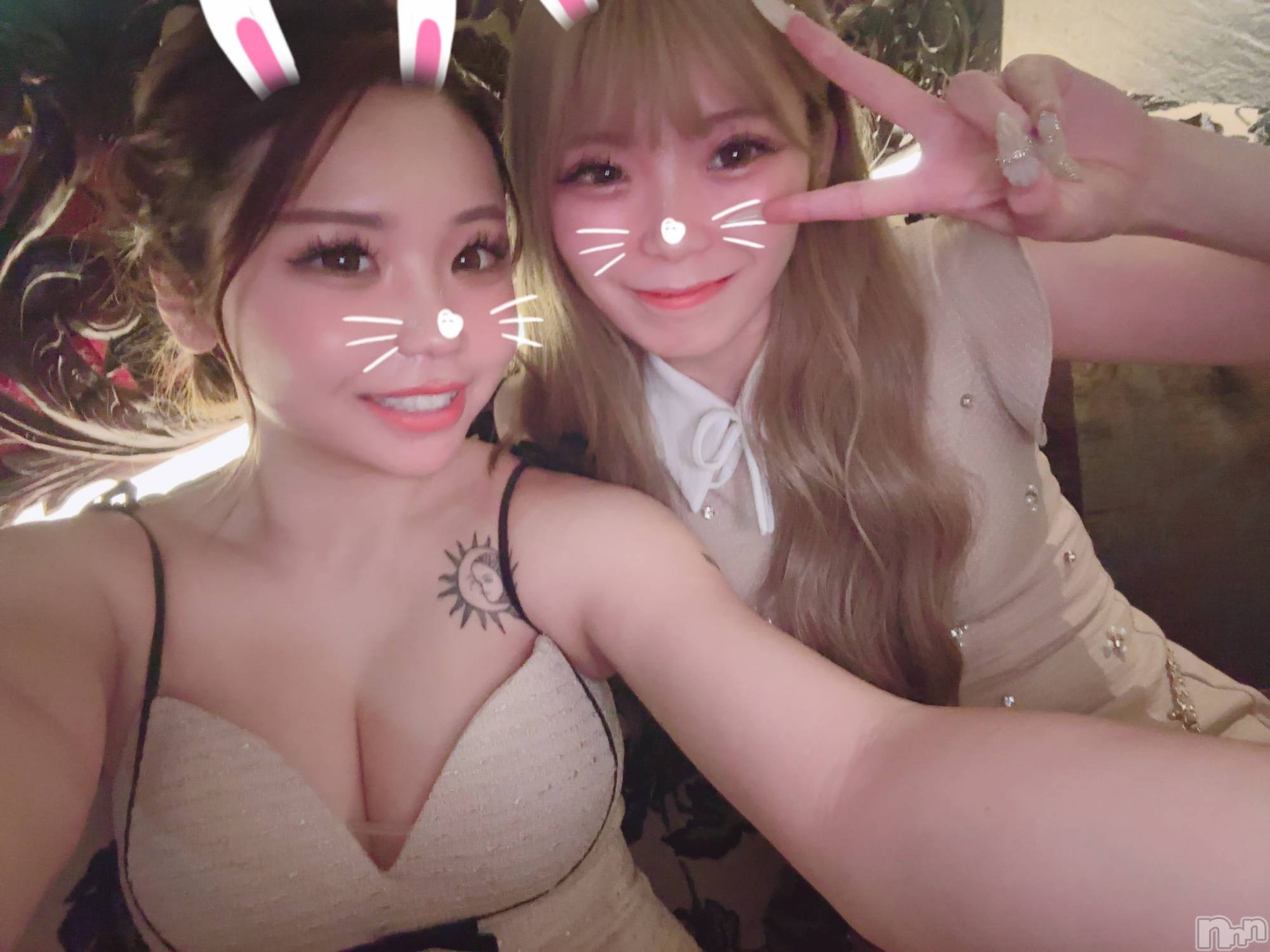��Ʋ����Х��顦�����151-A(������������) ��2026ǯ5��14���̥�֥����֤��🎶��