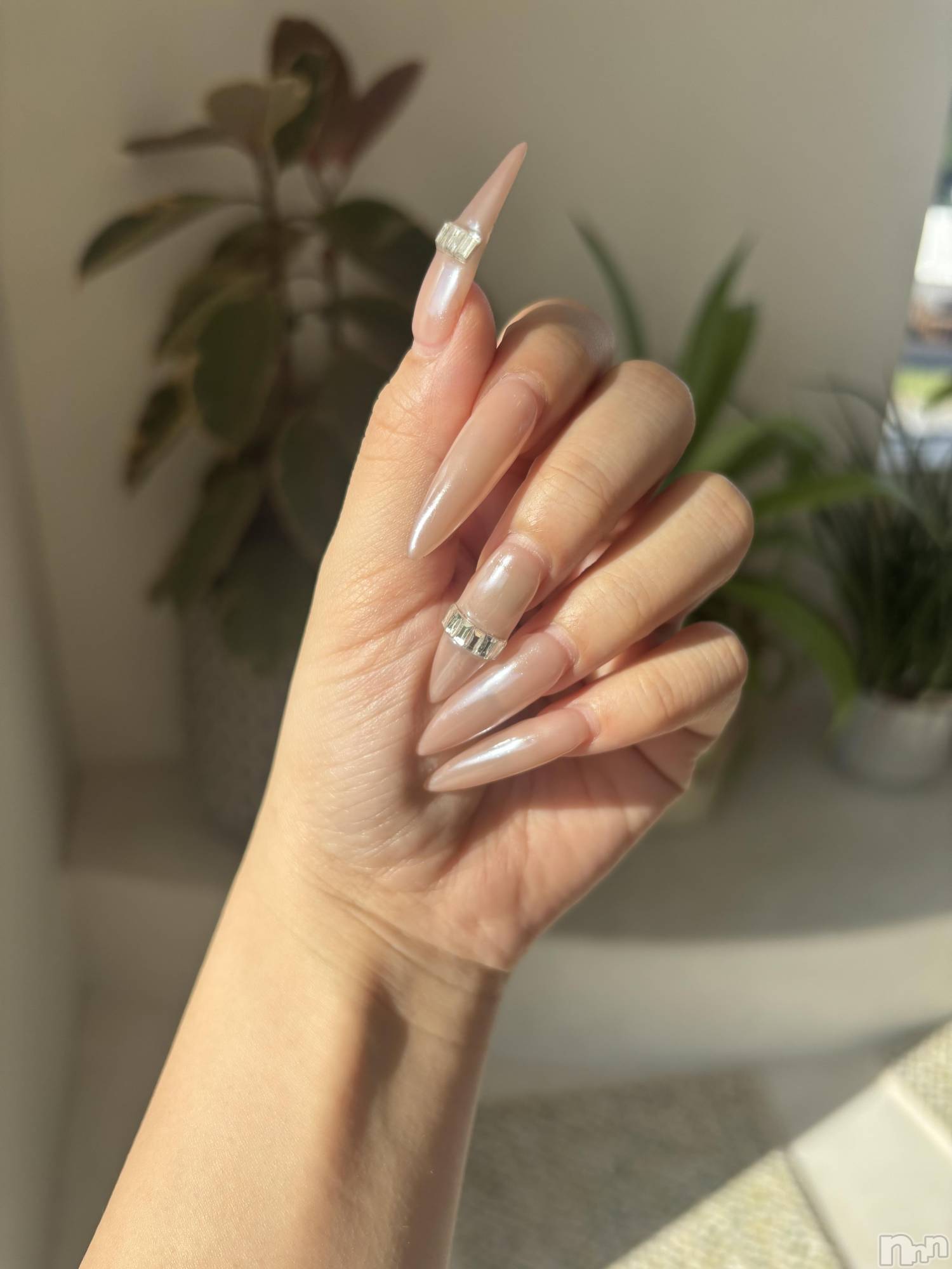 ��Ʋ����Х��顦�����151-A(������������) ��2026ǯ6��24���̥�֥�����💅🏻✨️��