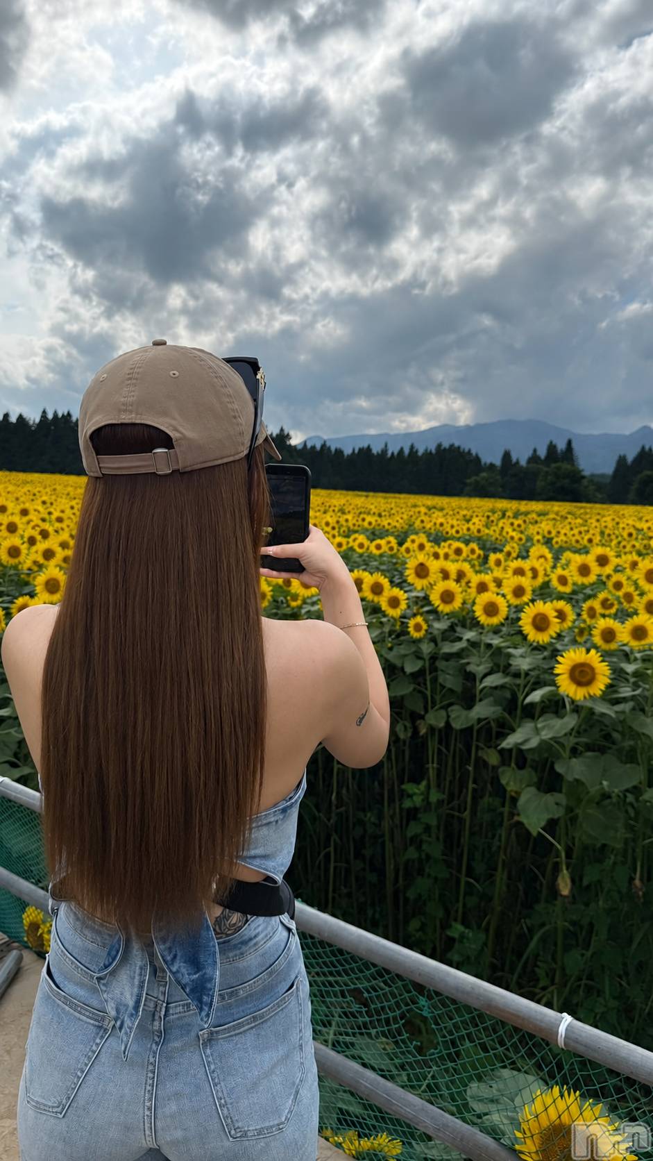 ��Ʋ����Х��顦�����151-A(������������) ��2026ǯ7��29���̥�֥�����🌻💛��