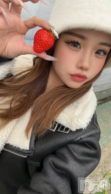 ��Ʋ����Х��顦�����151-A(������������) ���ߤ��1��8���̥�֥����ֺ�ǯ�����ܤΡ�