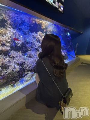 ��Ʋ����Х��顦�����151-A(������������) ���ߤ��1��14���̥�֥�����🪸🐡♡��