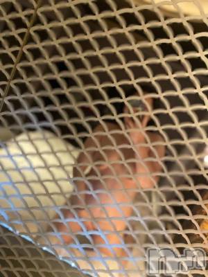 新潟デリヘル 熟女の風俗 最終章(ジュクジョノフウゾクサイシュウショウ) かなみ(38)の12月2日写メブログ「昨日のお礼♡」