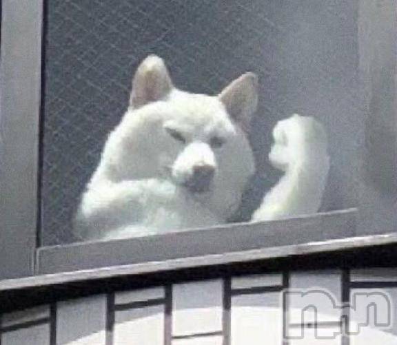 上越デリヘルHONEY(ハニー)のあ(♪)(23)の2026年4月9日写メブログ「不定期開催‼️お🉐に遊べます🎶」