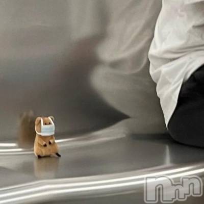 上越デリヘル HONEY(ハニー) のあ(♪)(23)の1月11日写メブログ「🈹初めまして様限定🎀❕」