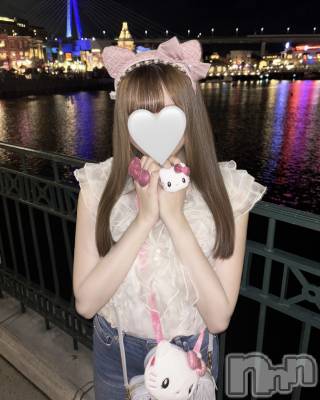 (ҥߥ) Ĺ155cmܱХ顦  ץ ( ץ ޥĥ)ҡ