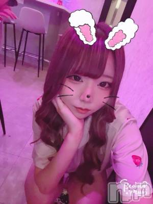 뤤(ҥߥ) Ĺҥߥġʥå륺С Girls Bar Philia(륺Сեꥢ)ҡ