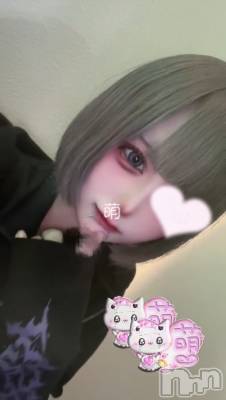 ����(�ҥߥ�) ��Ĺ�ҥߥġ�����������ʥå��������륺�С� Girls Bar Philia(�����륺�С��ե��ꥢ)���ҡ�