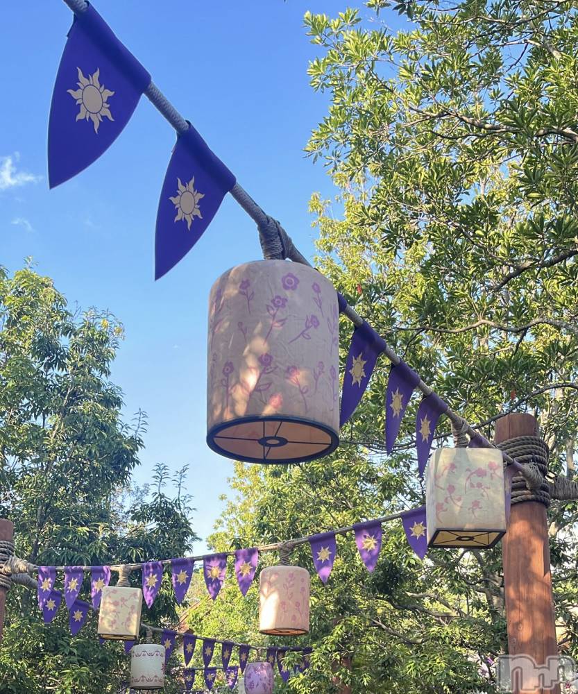 ʥå륺С󥻥ץȥե̴Ѷ~̤⤷ʤ¤~(󥻥ץȥեߥϥ祦) ⤫1019̥֥ιԹԤ💭