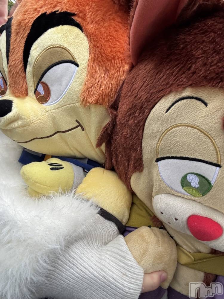 ʥå륺С󥻥ץȥե̴Ѷ~̤⤷ʤ¤~(󥻥ץȥեߥϥ祦) ⤫113ִ̥֥礬...