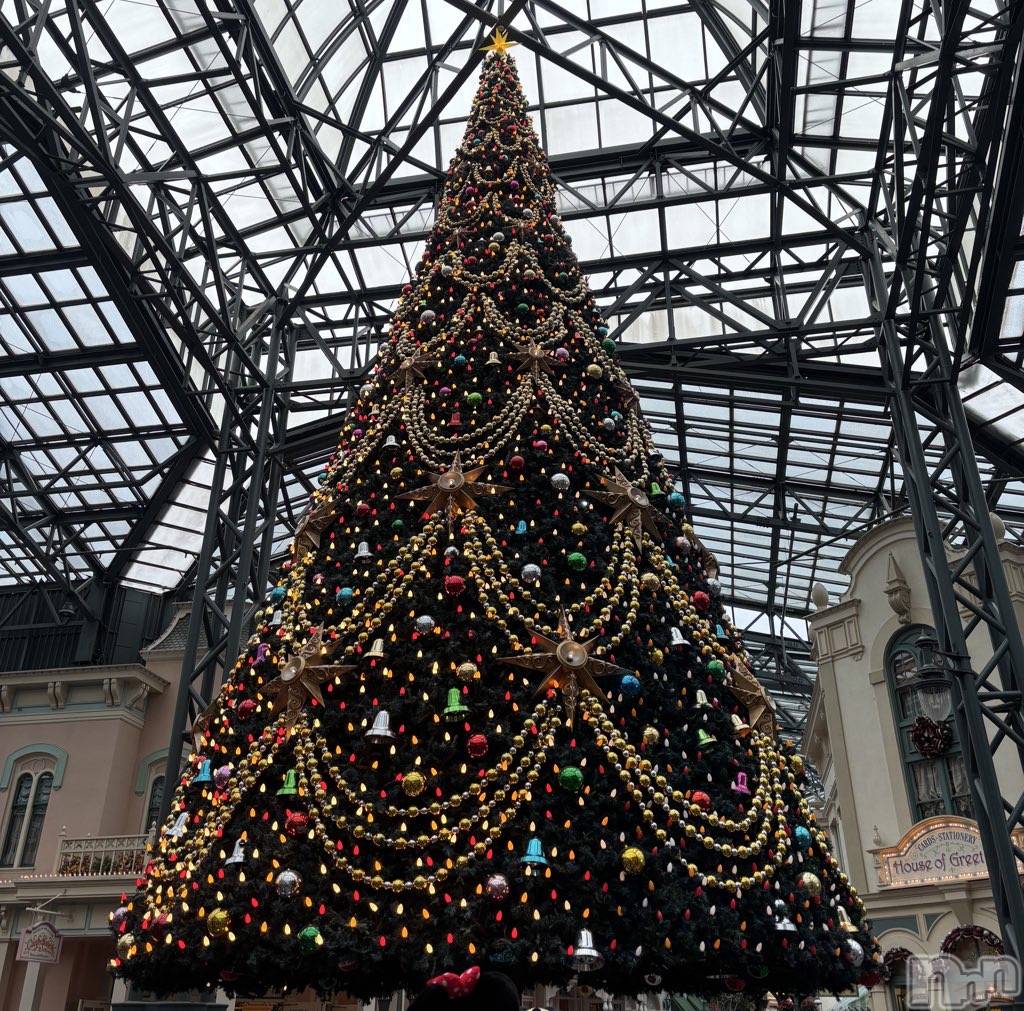 ����������ʥå��������륺�С����󥻥ץȥ��ե���̴�����Ѷ���~������̤��⤷��ʤ��¤��~(���󥻥ץȥ��ե����ߥ�ϥ����祦����) ��2025ǯ12��27���̥�֥����֤��ࡼ��������