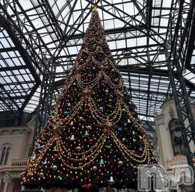 ����������ʥå��������륺�С����󥻥ץȥ��ե���̴�����Ѷ���~������̤��⤷��ʤ��¤��~(���󥻥ץȥ��ե����ߥ�ϥ����祦����) �⤫��12��27���̥�֥����֤��ࡼ��������