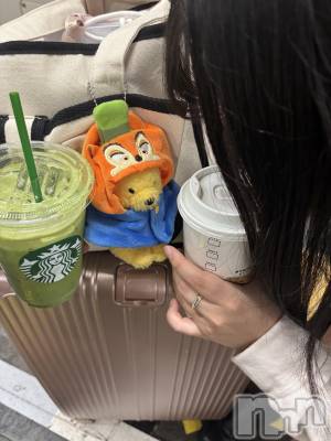 ����������ʥå��������륺�С����󥻥ץȥ��ե���̴�����Ѷ���~������̤��⤷��ʤ��¤��~(���󥻥ץȥ��ե����ߥ�ϥ����祦����) �⤫��1��17���̥�֥�����ι�Ԥ�ͽ���💭��