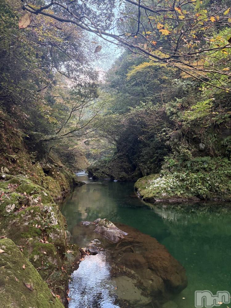 ʥå륺С󥻥ץȥե̴Ѷ~̤⤷ʤ¤~(󥻥ץȥեߥϥ祦) 1128̥֥줿ġ