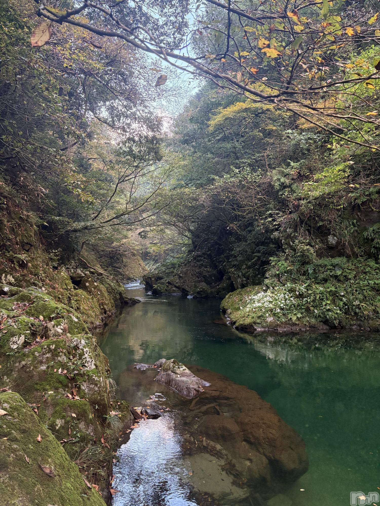 ʥå륺С󥻥ץȥե̴Ѷ~̤⤷ʤ¤~(󥻥ץȥեߥϥ祦) 2025ǯ1128̥֥줿ġ