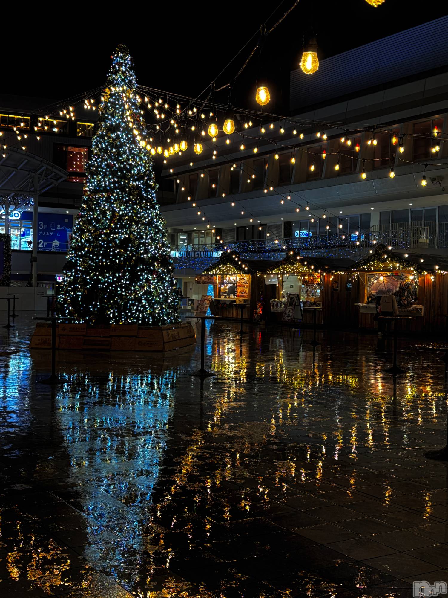 ����������ʥå��������륺�С����󥻥ץȥ��ե���̴�����Ѷ���~������̤��⤷��ʤ��¤��~(���󥻥ץȥ��ե����ߥ�ϥ����祦����) ��2025ǯ12��26���̥�֥��������ʤ���??🎄.*��