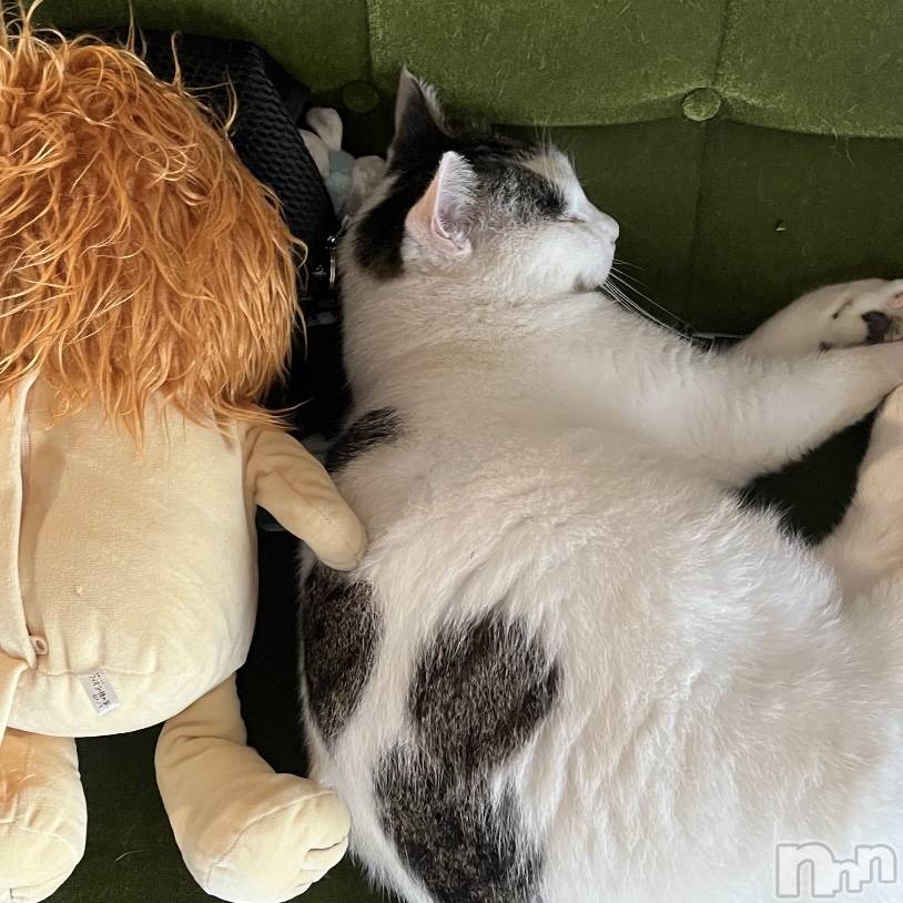 ʥå륺С󥻥ץȥե̴Ѷ~̤⤷ʤ¤~(󥻥ץȥեߥϥ祦) ʤ1022ֵ̥֥ʡ