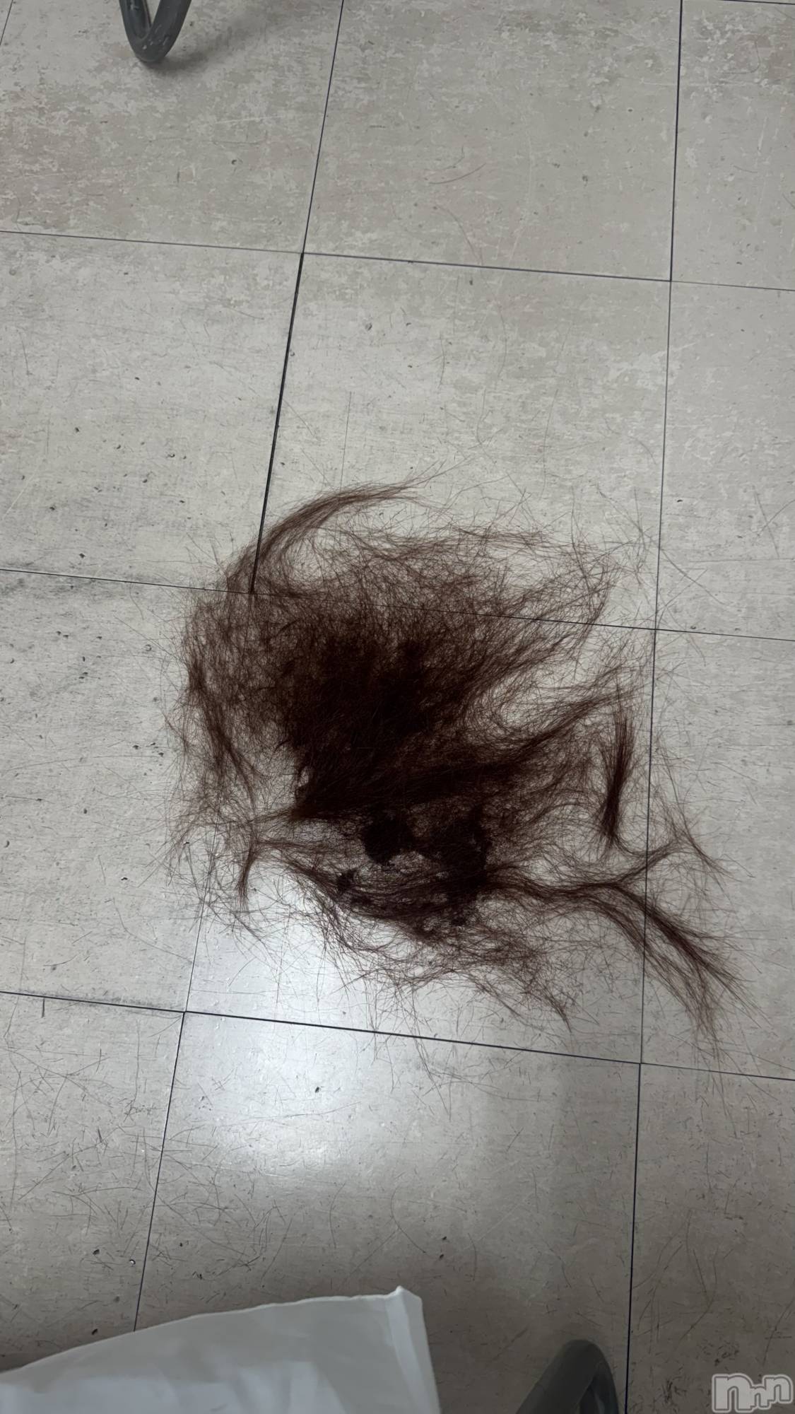 ����������ʥå��������륺�С����󥻥ץȥ��ե���̴�����Ѷ���~������̤��⤷��ʤ��¤��~(���󥻥ץȥ��ե����ߥ�ϥ����祦����) ��2025ǯ12��17���̥�֥�����✄﻿��