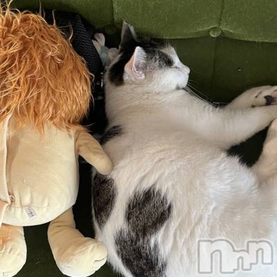 新潟駅前スナック・ガールズバーコンセプトカフェ 夢見る廃教会~明日死ぬかもしれないぢゃん~(コンセプトカフェユメミルハイキョウカイ) ちなの10月22日写メブログ「帰省」