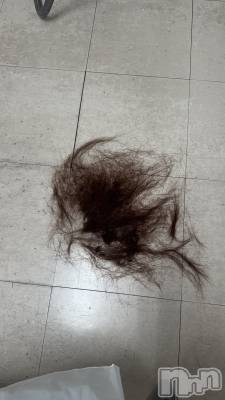 ����������ʥå��������륺�С����󥻥ץȥ��ե���̴�����Ѷ���~������̤��⤷��ʤ��¤��~(���󥻥ץȥ��ե����ߥ�ϥ����祦����) ���ʤ�12��17���̥�֥�����✄﻿��