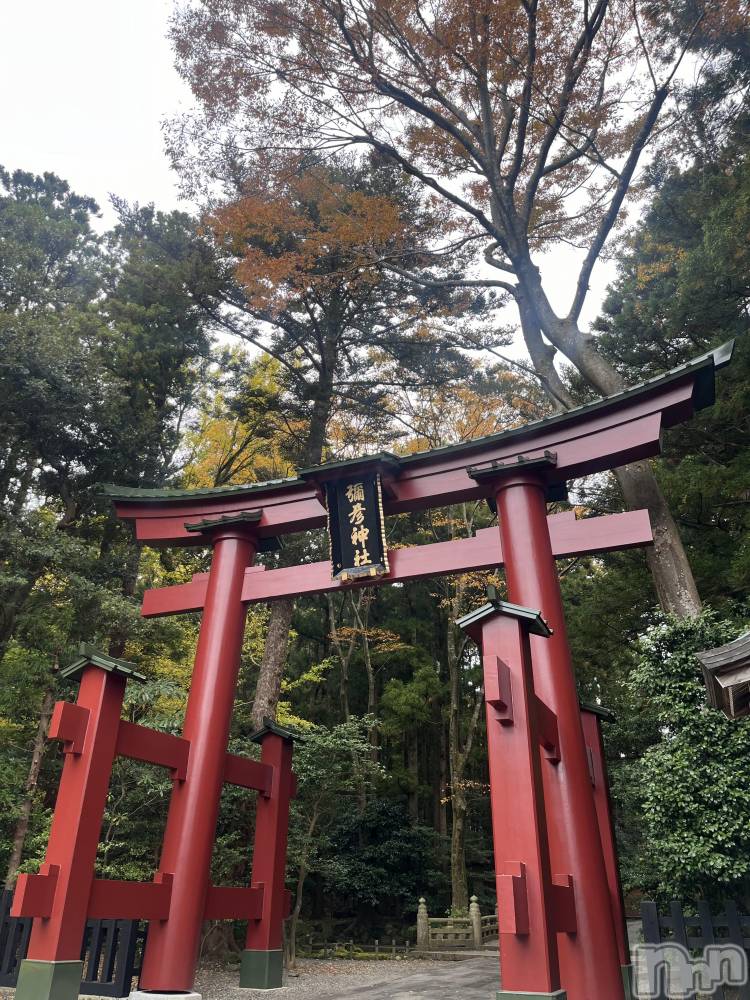 ʥå륺СʥåBar Peace(ʥåС ԡ) ʤ126ֹ̥֥ա