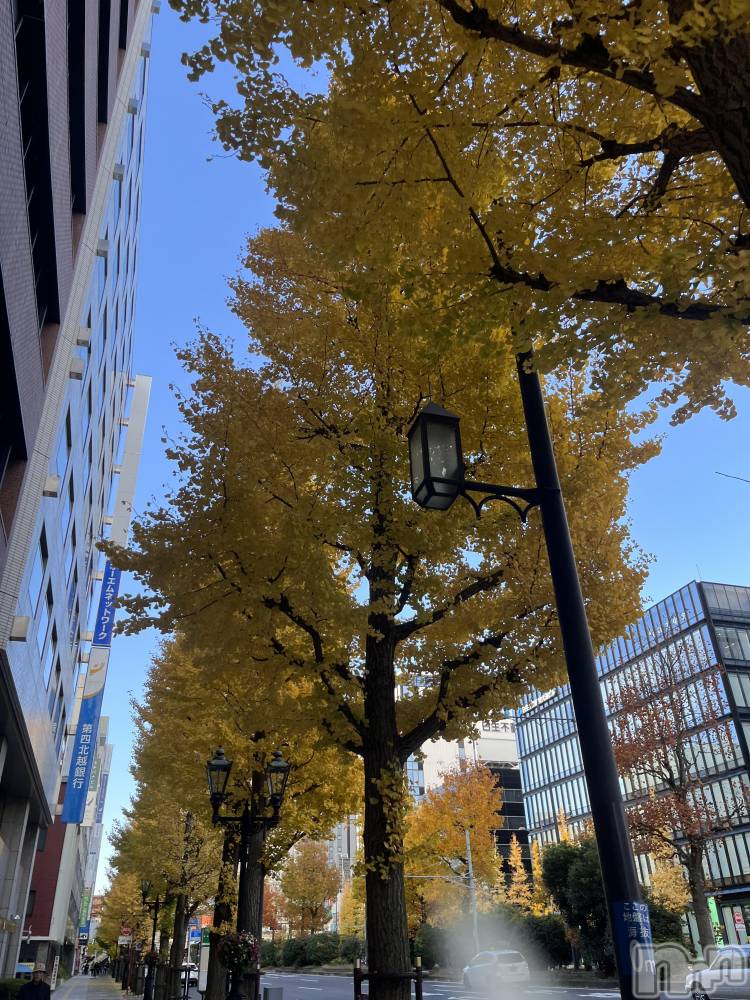 ʥå륺СʥåBar Peace(ʥåС ԡ) ʤ1210̥֥🍁