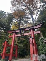 ����������ʥå��������륺�С����ʥå�Bar Peace(���ʥå��С� �ԡ���) ���ʤ�12��6���̥�֥����ֹ��ա�