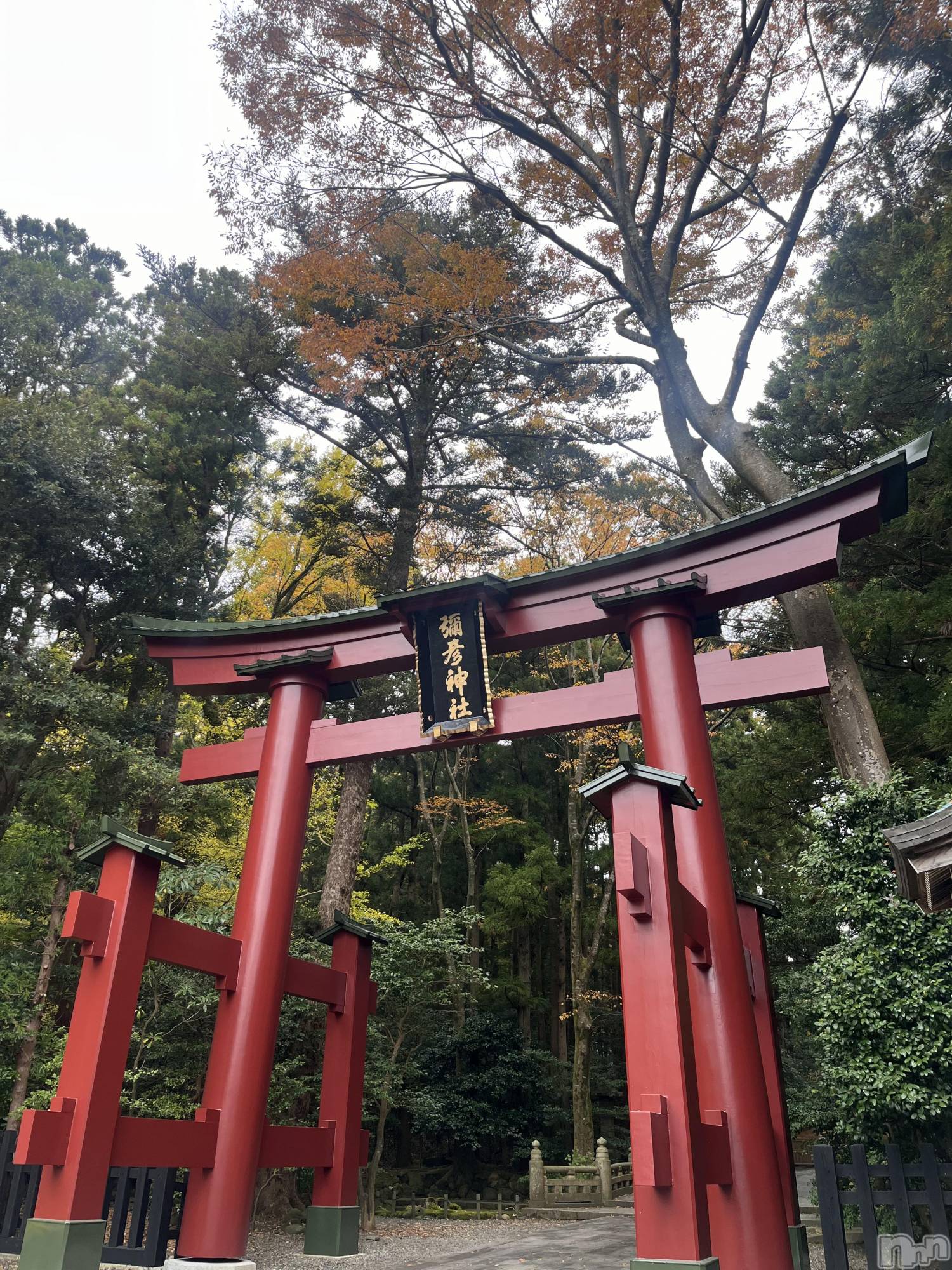 ʥå륺СʥåBar Peace(ʥåС ԡ) 2025ǯ126ֹ̥֥ա