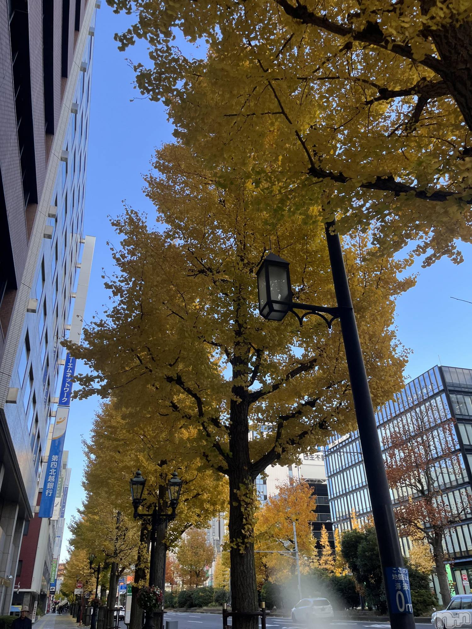 ʥå륺СʥåBar Peace(ʥåС ԡ) 2025ǯ1210̥֥🍁