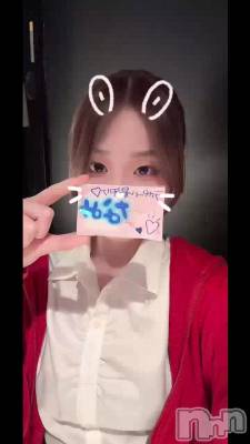 ( - �� - )🐰⋆⸜♡⸝‍⋆