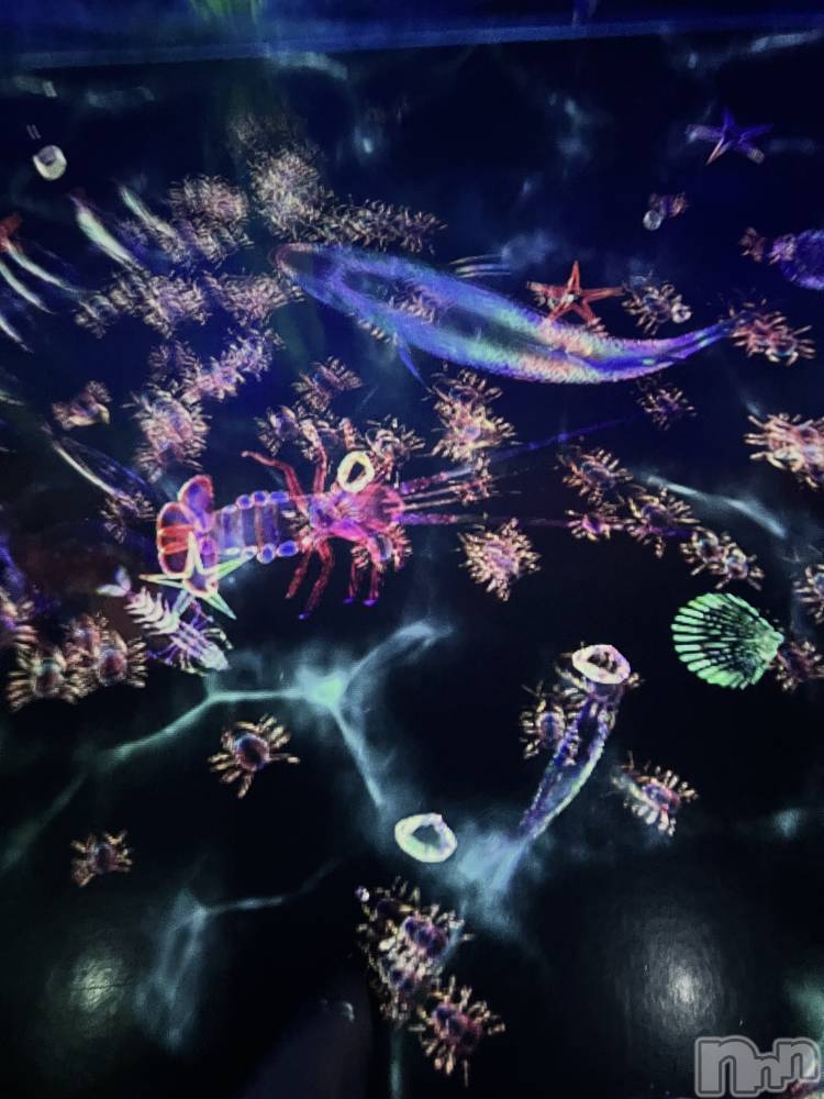 ���ץ���Х��顦�����CLUB BOSS(����� �ܥ�) �ߤ�����12��19���̥�֥�����🌈🕸️🫧��