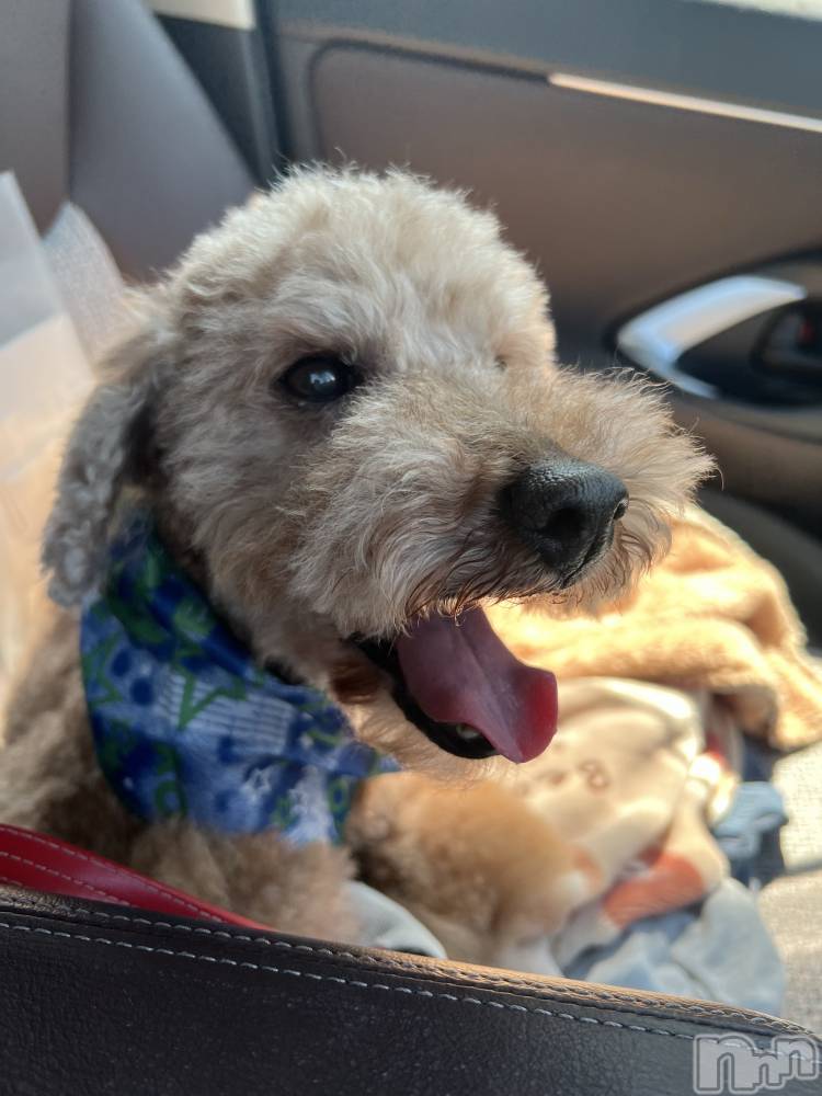 ���ץ���Х��顦�����CLUB BOSS(����� �ܥ�) �ߤ�����1��22���̥�֥�����🐶��