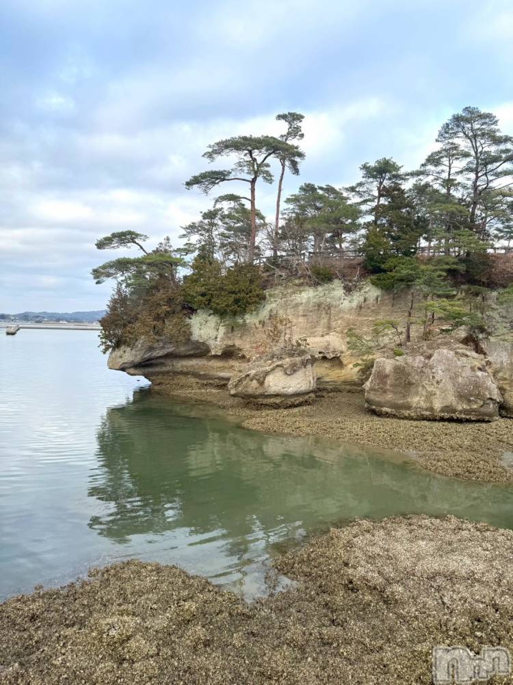 ���ץ���Х��顦�����CLUB BOSS(����� �ܥ�) �ߤ�����4��6���̥�֥�����🏝️��