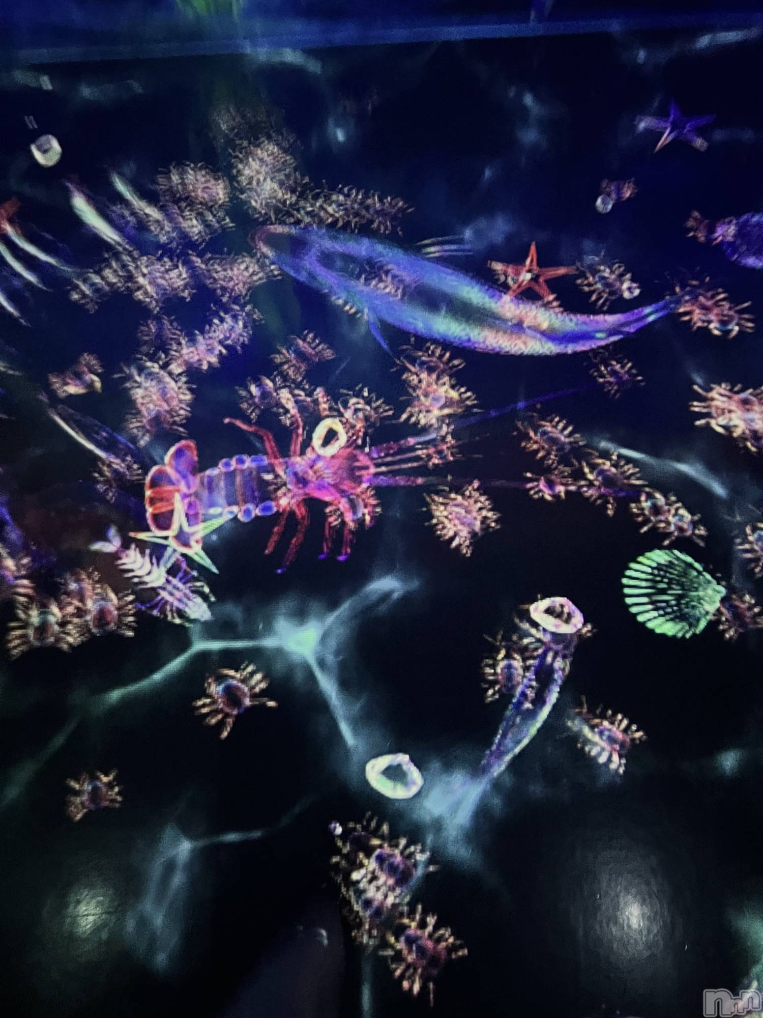 ���ץ���Х��顦�����CLUB BOSS(����� �ܥ�) ��2025ǯ12��19���̥�֥�����🌈🕸️🫧��