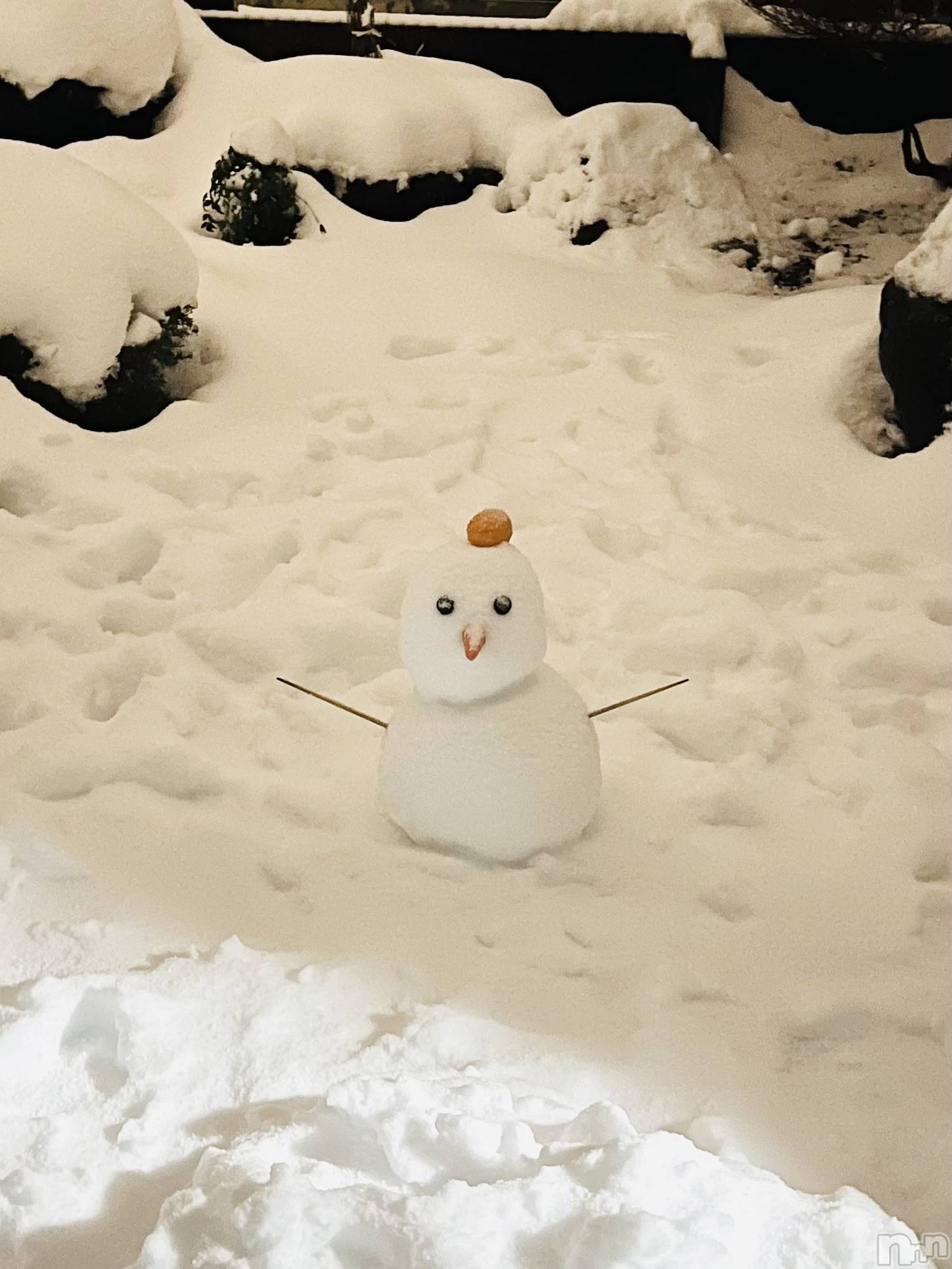 ���ץ���Х��顦�����CLUB BOSS(����� �ܥ�) ��2026ǯ1��1���̥�֥����ֿ�ǯ🎍��