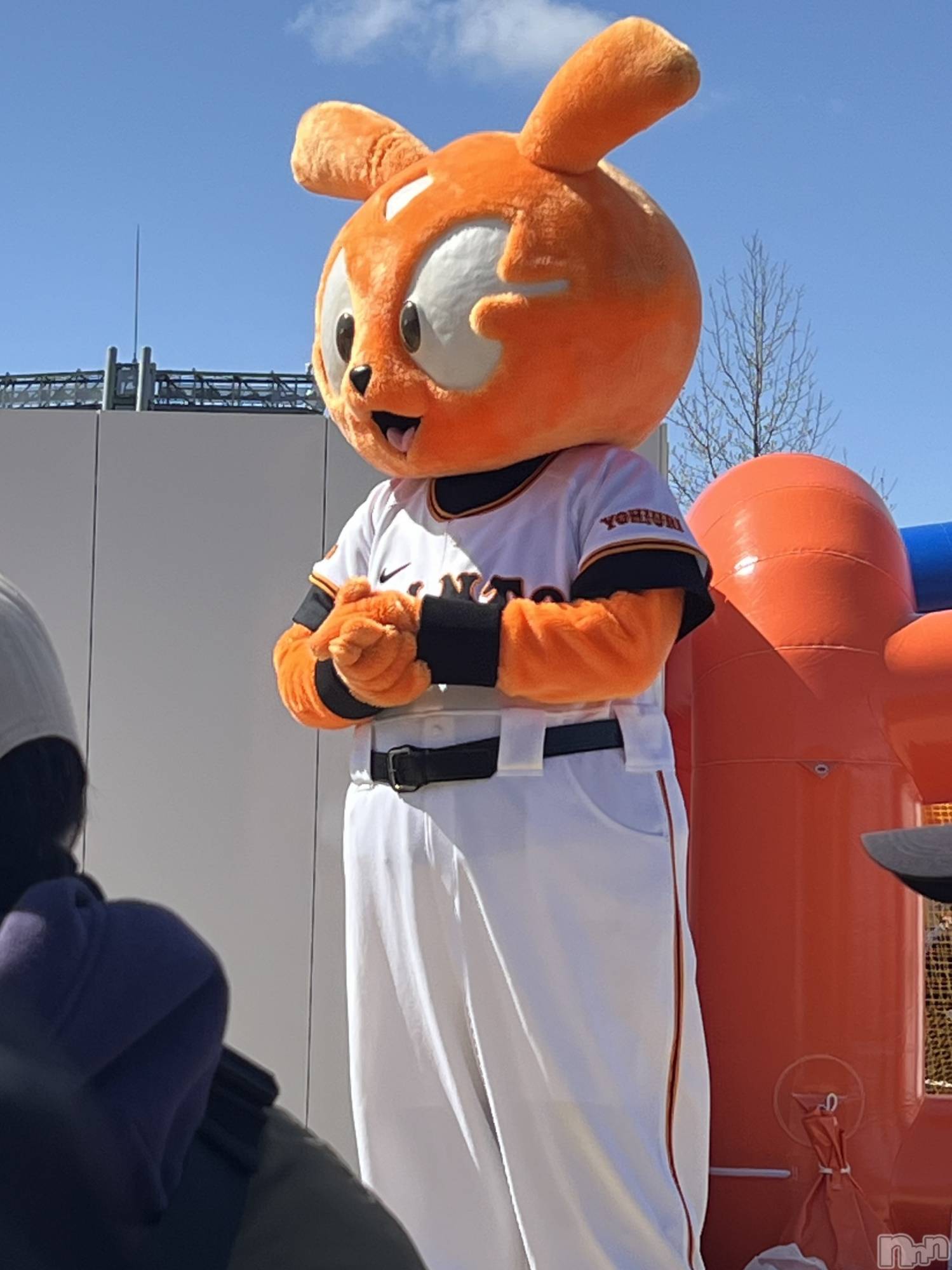 ���ץ���Х��顦�����CLUB BOSS(����� �ܥ�) ��2026ǯ3��17���̥�֥�����🐰��