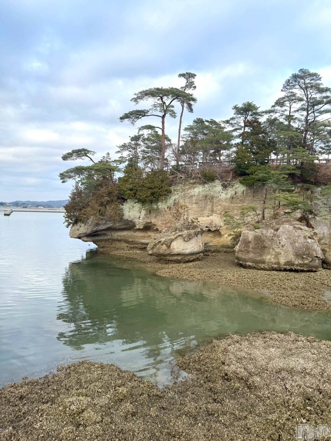 ���ץ���Х��顦�����CLUB BOSS(����� �ܥ�) ��2026ǯ4��6���̥�֥�����🏝️��