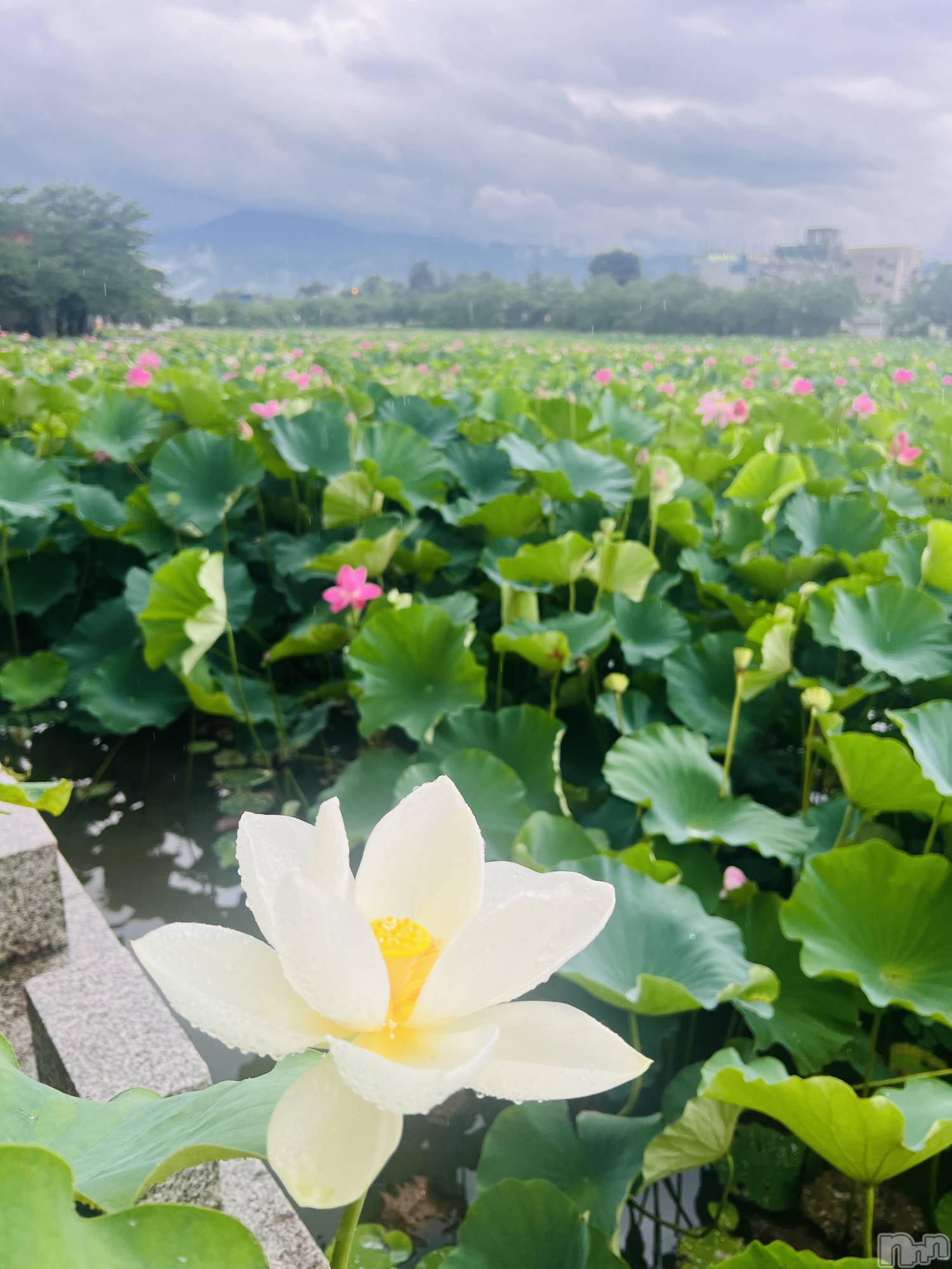 ���ץ���Х��顦�����CLUB BOSS(����� �ܥ�) ��2026ǯ4��26���̥�֥�����🗓️��