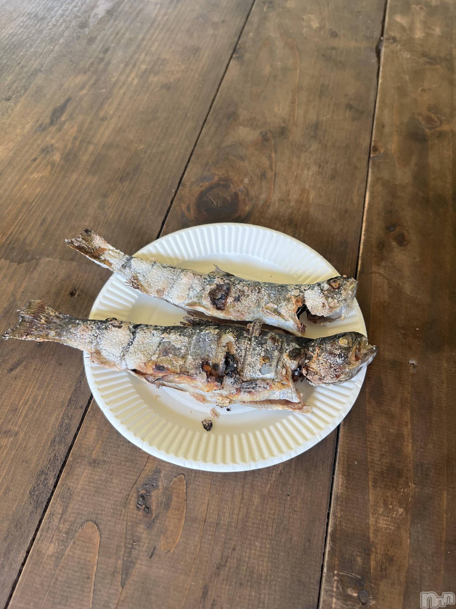 ���ץ���Х��顦�����CLUB BOSS(����� �ܥ�) ��2026ǯ8��25���̥�֥�����🐟��