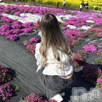 (ҥߥ) ĹҥߥġץХ顦 CLUB BOSS( ܥ)ҡ