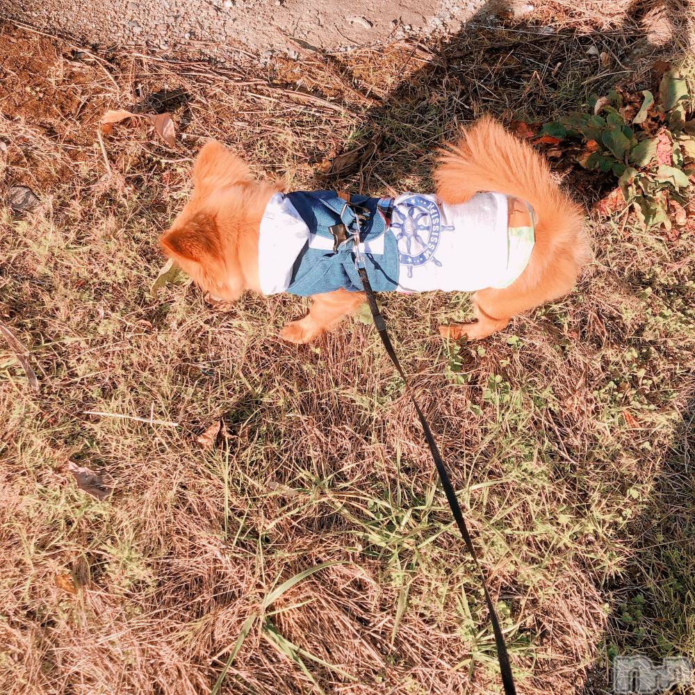 ���ץ���Х��顦�����CLUB BOSS(����� �ܥ�) �뤤��3��25���̥�֥�����🍯��