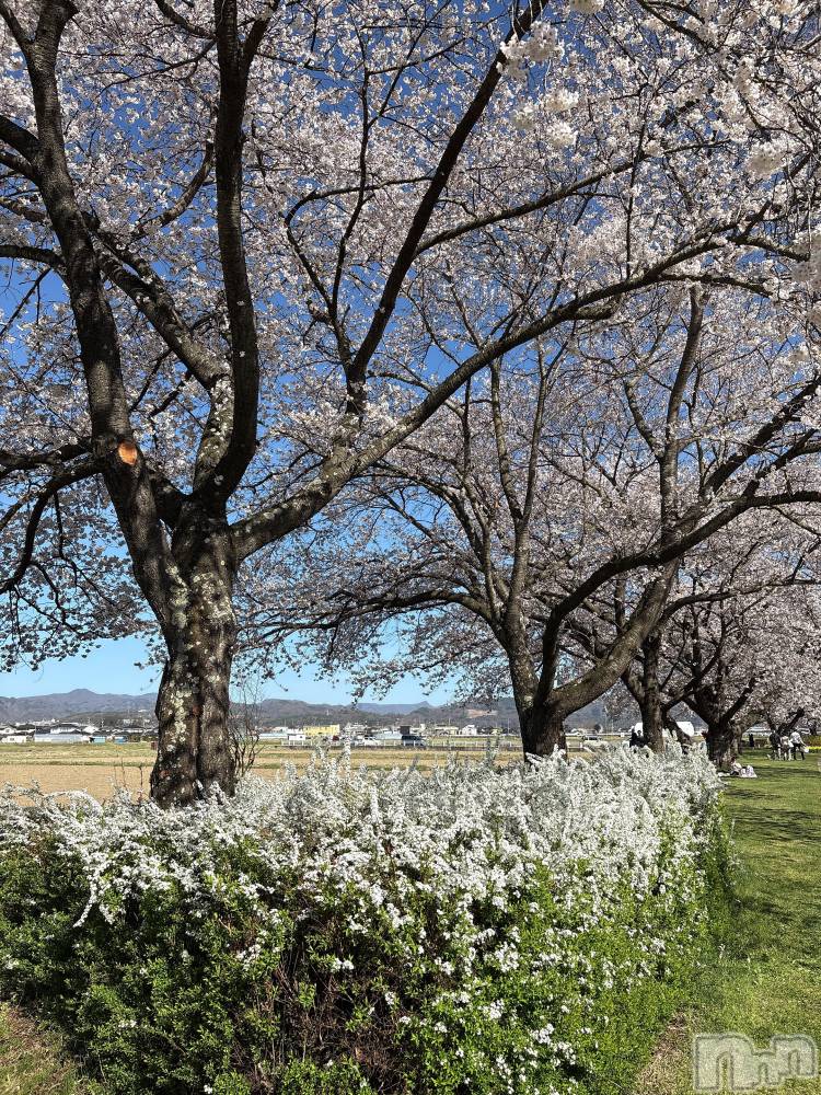 ���ץ���Х��顦�����CLUB BOSS(����� �ܥ�) �뤤��4��15���̥�֥�����🍃��