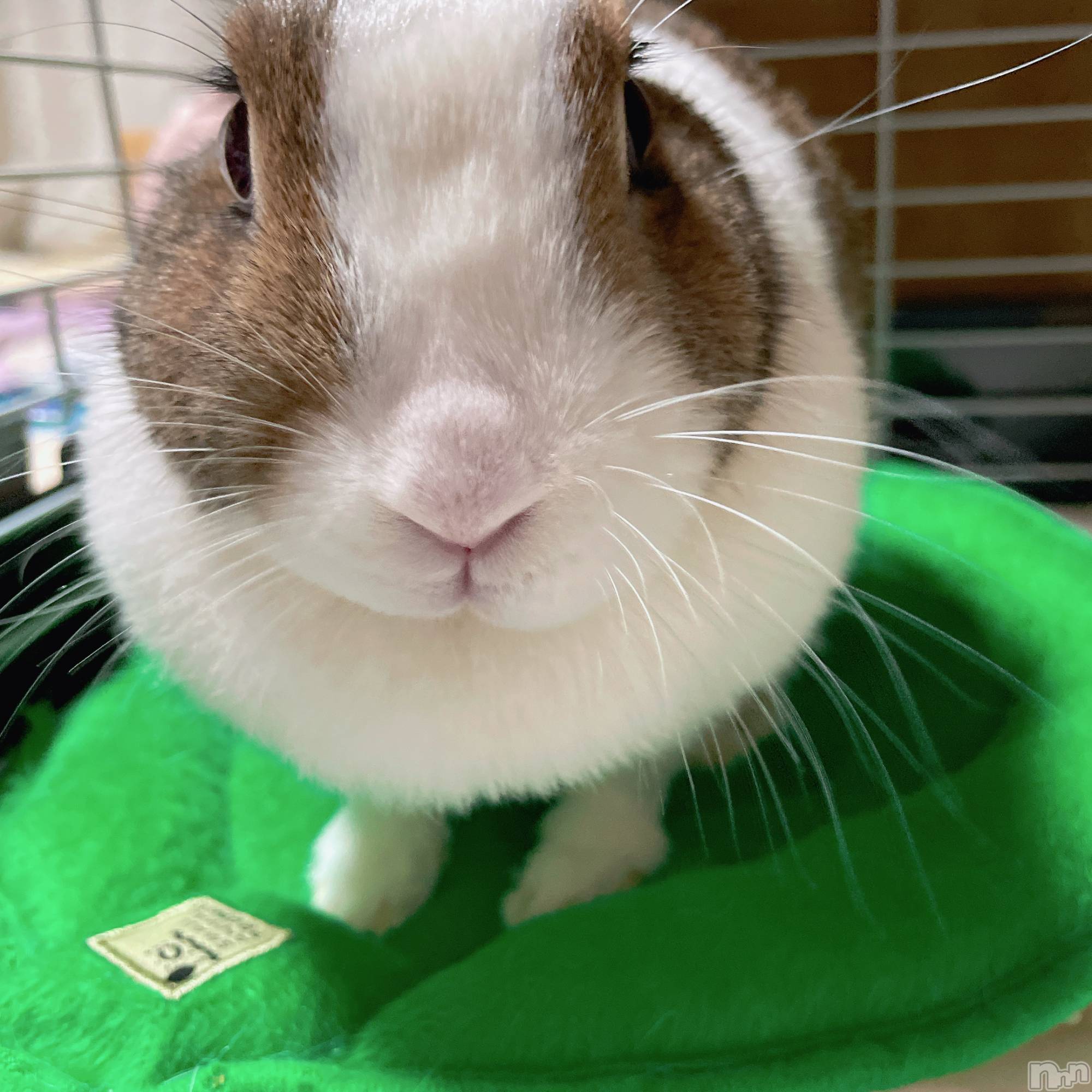 ץХ顦CLUB BOSS( ܥ) 2025ǯ1126̥֥👾