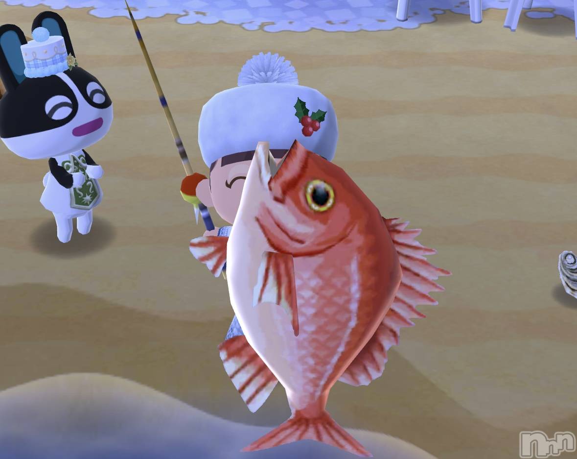 ץХ顦CLUB BOSS( ܥ) 2025ǯ1210̥֥🤧